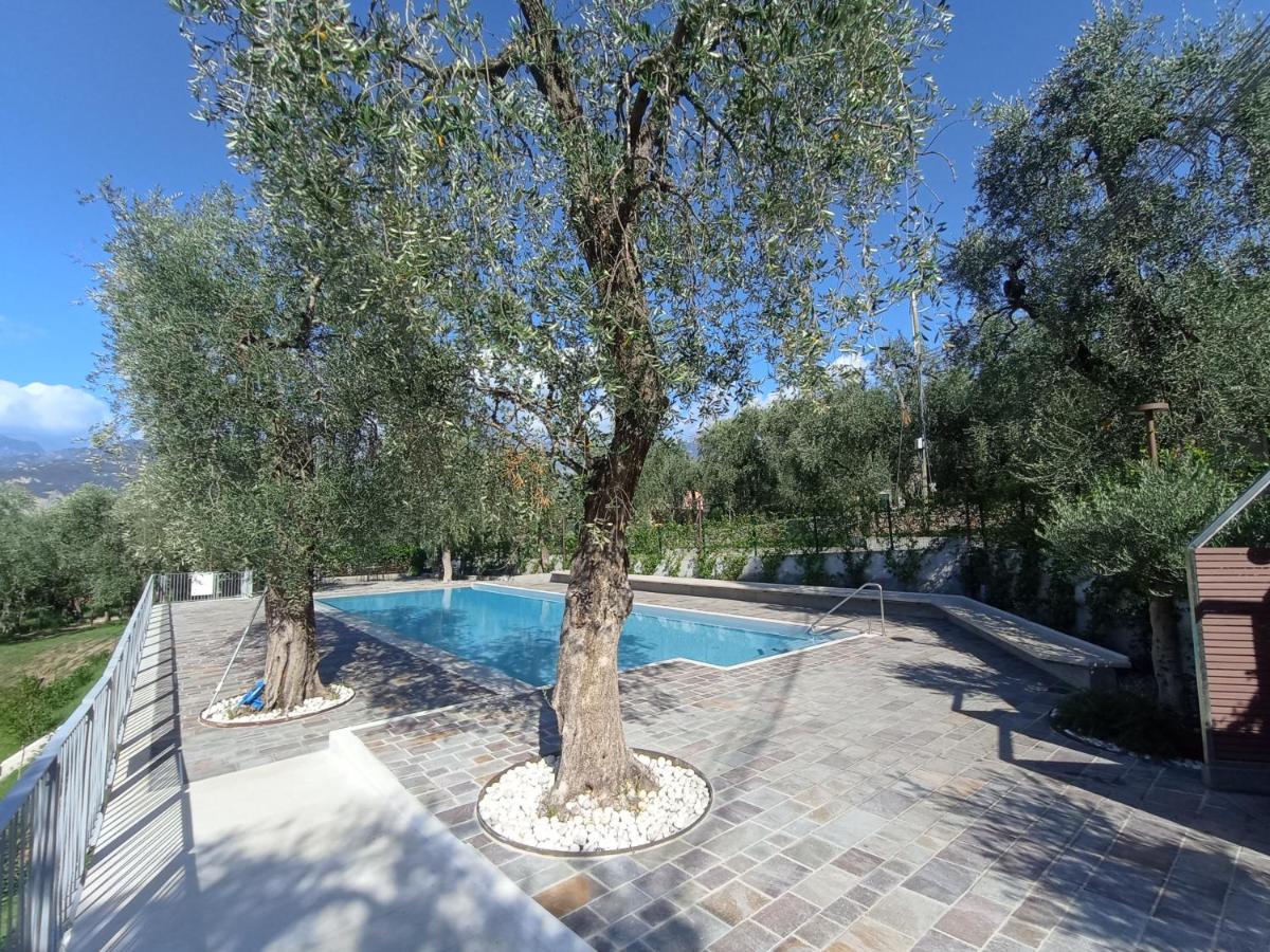 מאלצ'סינה Apartament Luna Wifi Free - מראה חיצוני תמונה