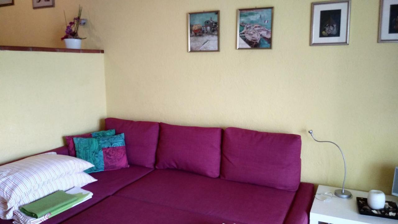 מאלצ'סינה Apartament Luna Wifi Free - מראה חיצוני תמונה